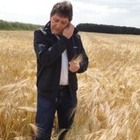 Mário Alves Monferdini