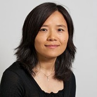 Wenjuan Wang