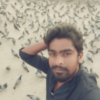 nikil varma