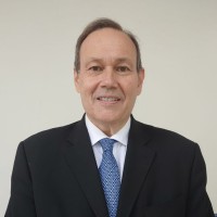 Roberto Viciano Pastor