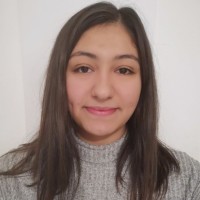 Sevim Tursun Yapici