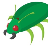 Bug club Daniel Taylor