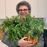 David Feinberg