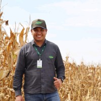 André Henrique da Silva