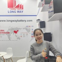 Mavis Liu LONGWAY Battery