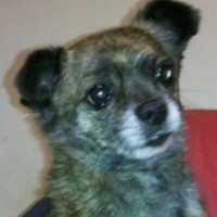 Esteban Edgardo Rodriguez