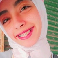 Nourhan Elgaafary