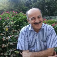 Ali Mohseni