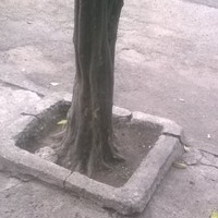 Tu Jefa