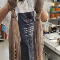 Ghassene Ferchichi