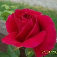 Jan and David Winnett