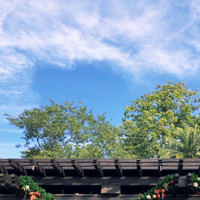 Yan Ci