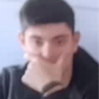 Efe Sarıcı