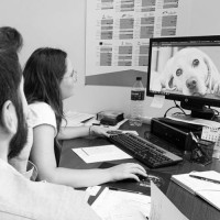 Equipo Social Media Zasapp Sistemas Digitales