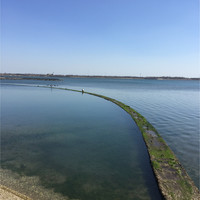 杨子鑫
