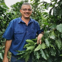 Minor Corrales Chaves