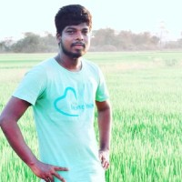 vijay l