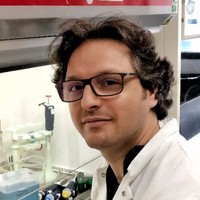 Moran Galperin, Ph.D