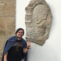 Felipe Mujica Johnson