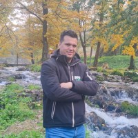 Nedzad Taletovic