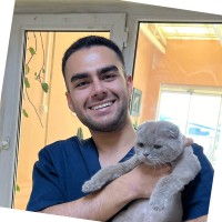 Amirreza D.
