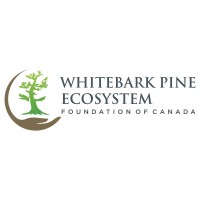 Whitebark Pine Ecosystem Foundation of Canada (WPEFC)