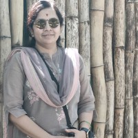Sindhu S R