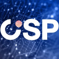 Center for International Security and Practice (Cisp)