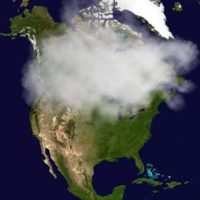 대마초판매대마초구입