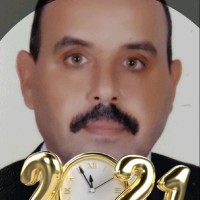 Hesham Mohamed