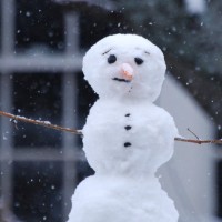 Frostie The Snowman