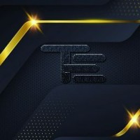 Professional Designer