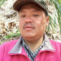 Dendup Tshering
