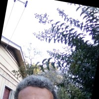 Scotty Shaw