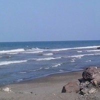 Farzam Shahsavari