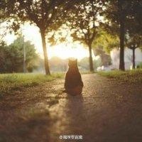 颜染瞳