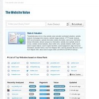 The Website Value