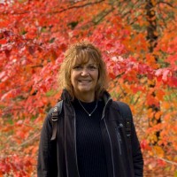 Julie Ness