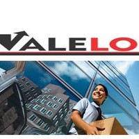 Vale Log