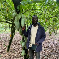 Ing. Benjamin kodzo Ntsu