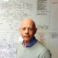Mike Laybourne
