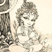 Roja B
