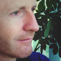 Damien Roy