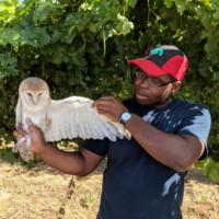 Adeyemi W.