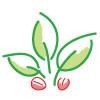 San Rafael Coffee Company