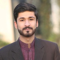 Hannan Shahid Butt