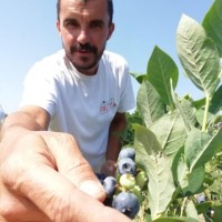 Luigi Sala