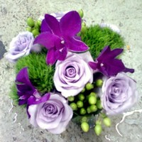 Essence By Design