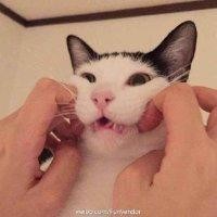 庞圆圆