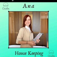 ana stirbu